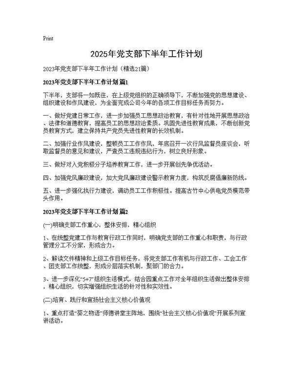 2025年党支部下半年工作计划21篇