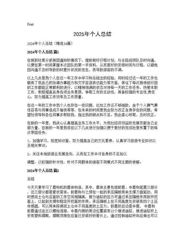 2025年个人总结34篇