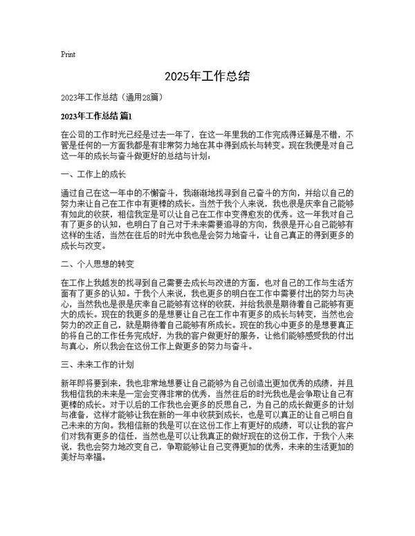 2025年工作总结28篇