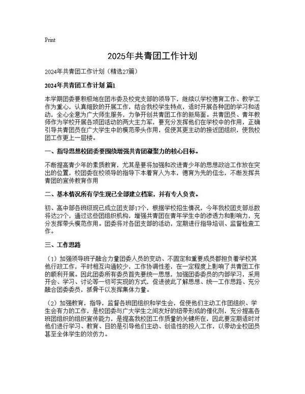 2025年共青团工作计划27篇