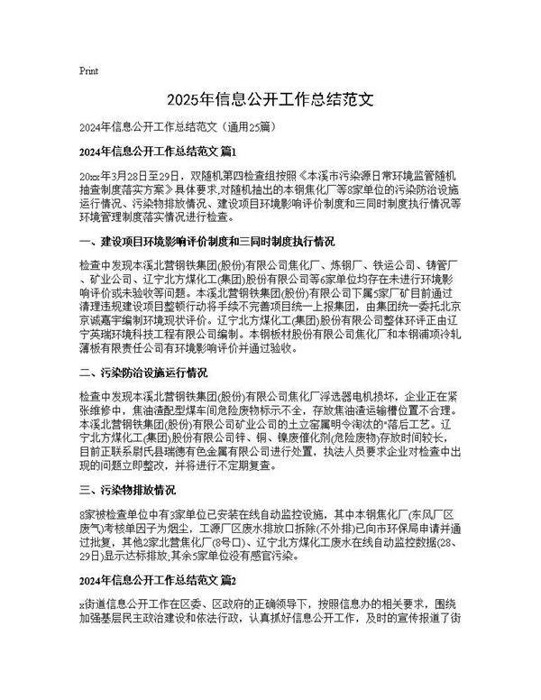 2025年信息公开工作总结范文25篇