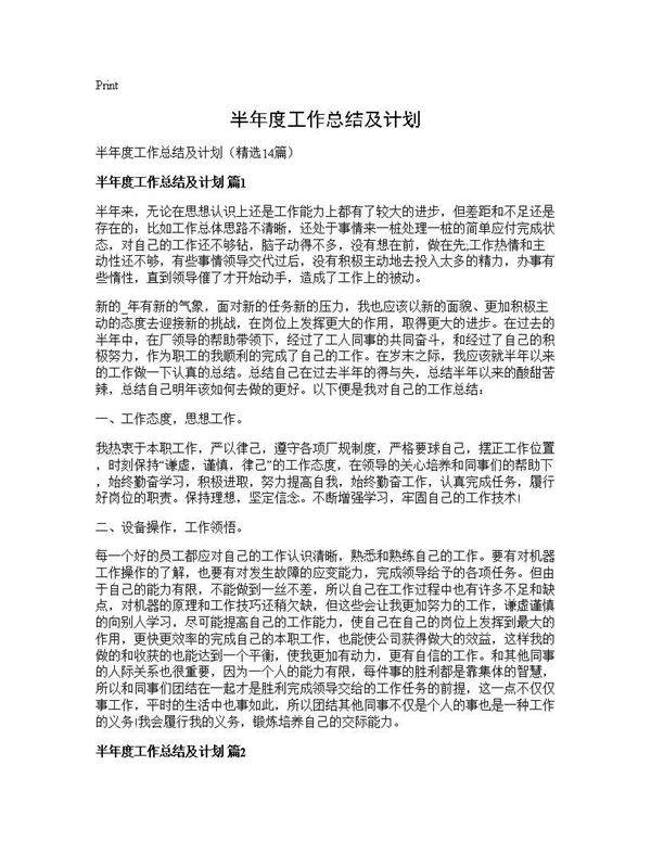 半年度工作总结及计划14篇
