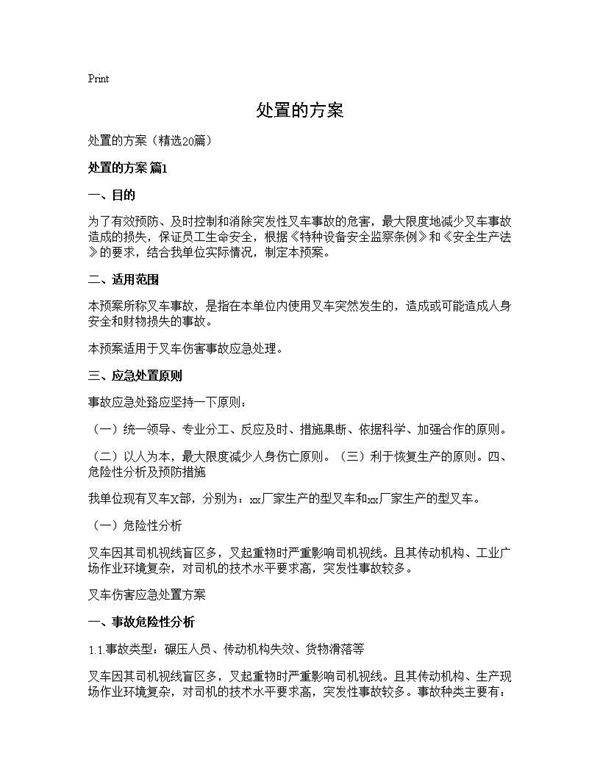 处置的方案20篇