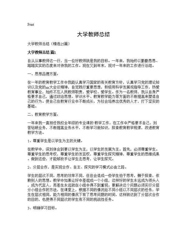 大学教师总结25篇