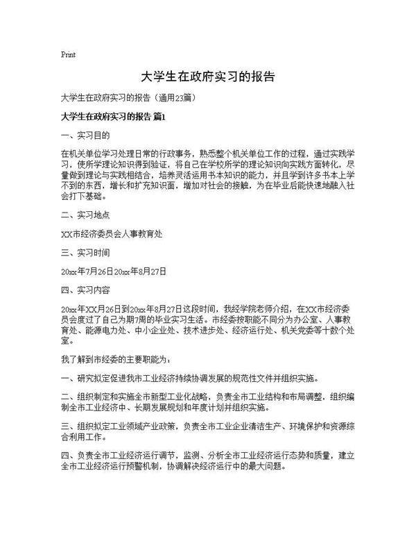 大学生在政府实习的报告23篇