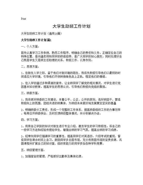 大学生助班工作计划20篇