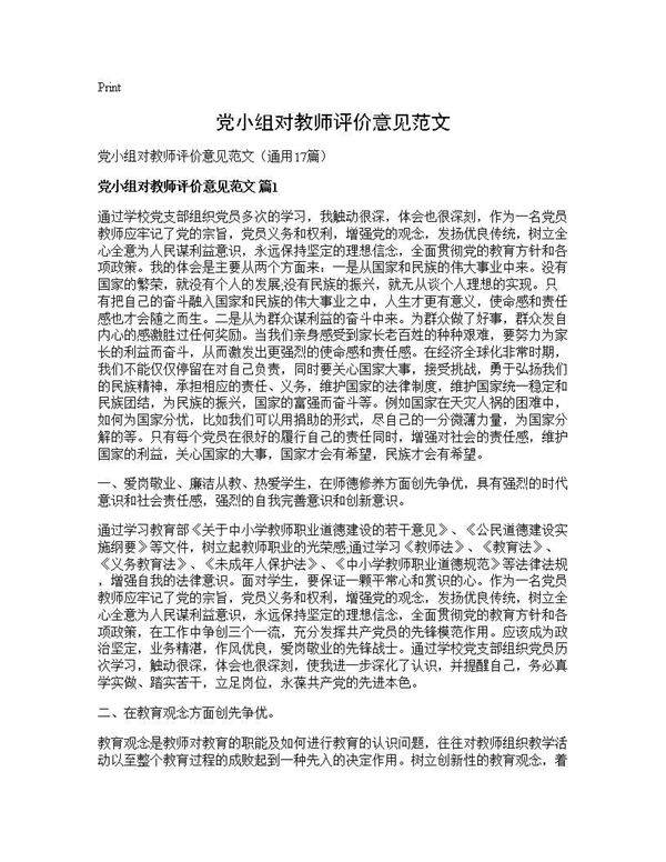 党小组对教师评价意见范文17篇