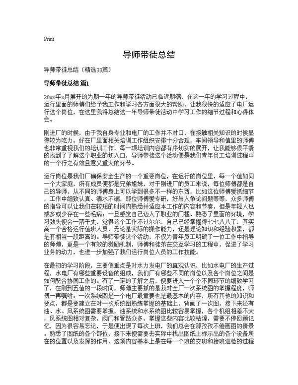 导师带徒总结33篇