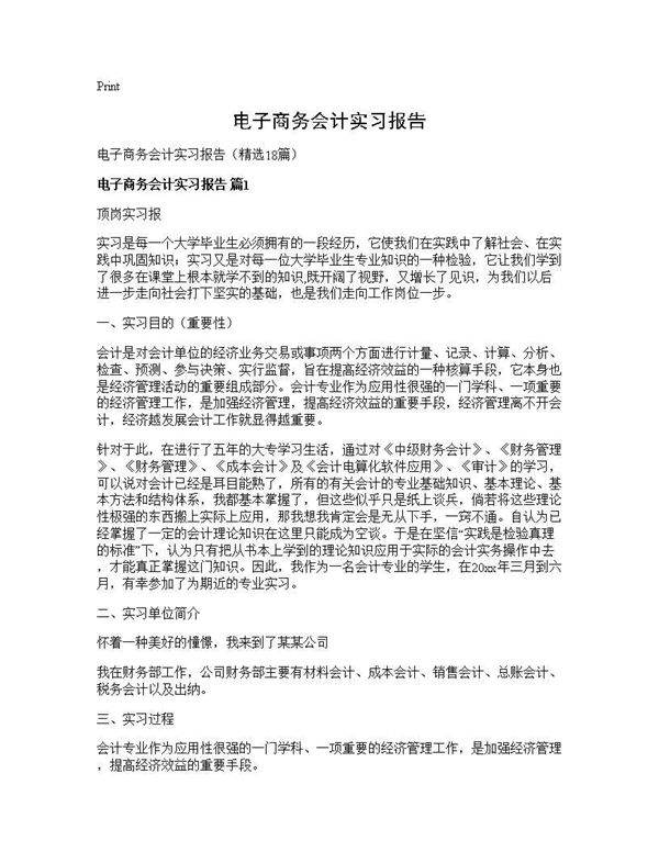 电子商务会计实习报告18篇