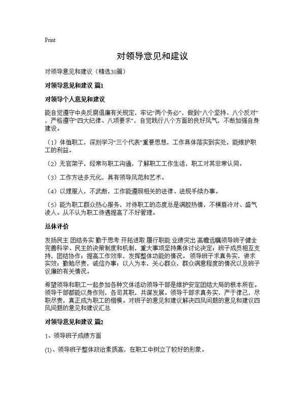 对领导意见和建议30篇