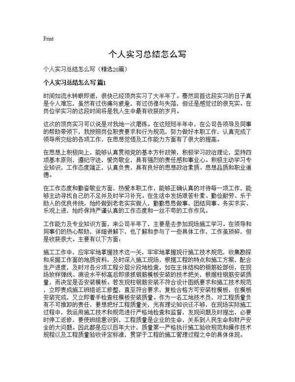 个人实习总结怎么写20篇