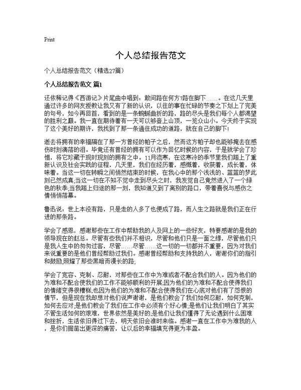 个人总结报告范文27篇