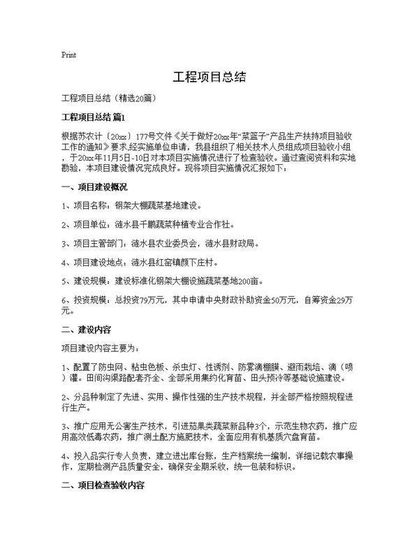 工程项目总结20篇