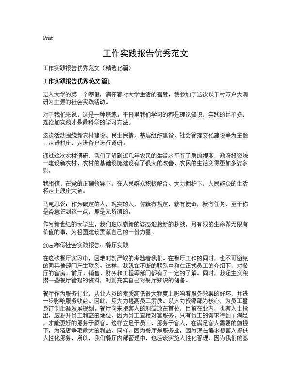 工作实践报告优秀范文15篇