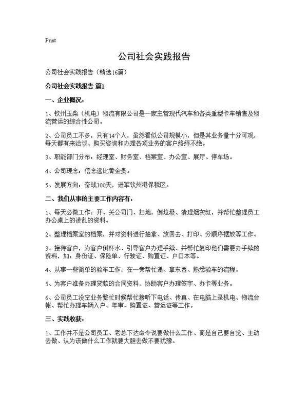 公司社会实践报告16篇