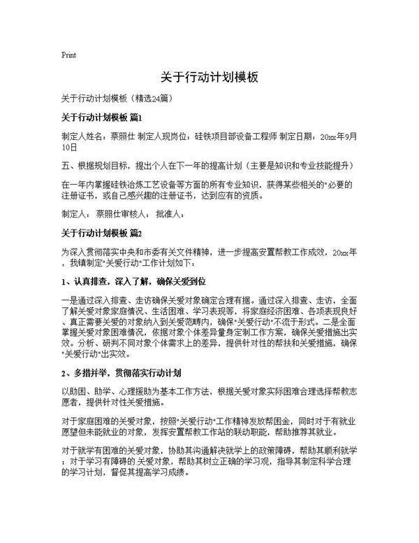 关于行动计划模板24篇