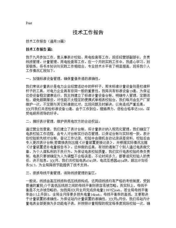 技术工作报告19篇