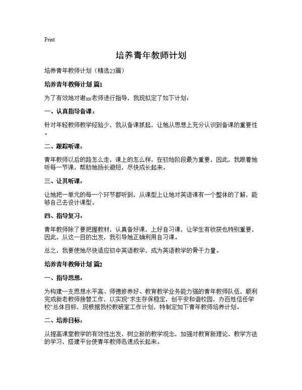 培养青年教师计划23篇