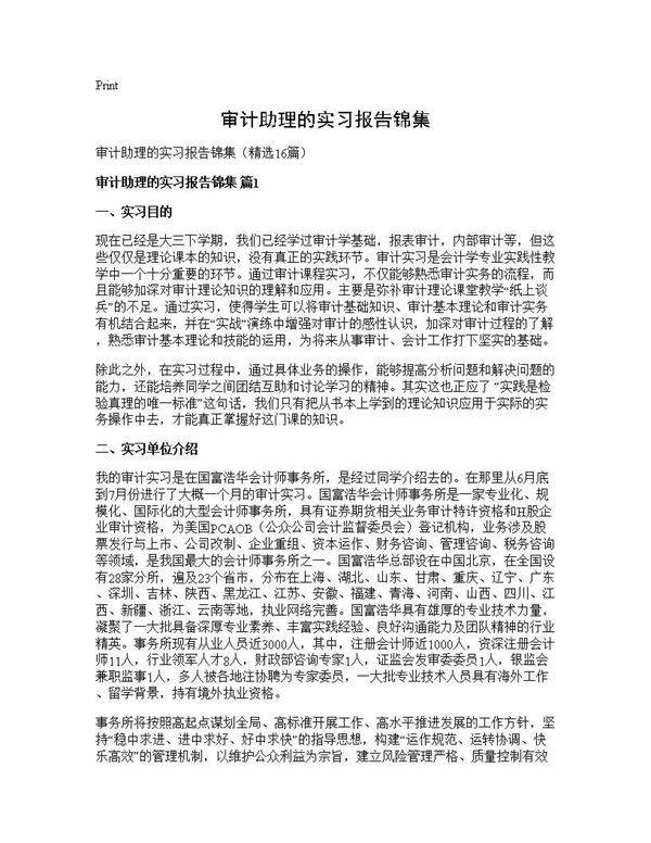 审计助理的实习报告锦集16篇