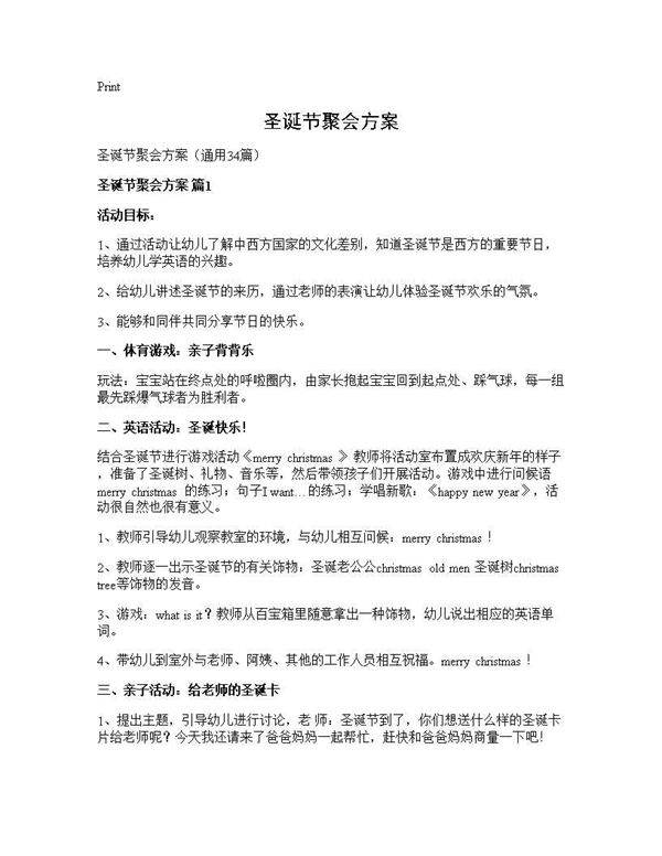 圣诞节聚会方案34篇