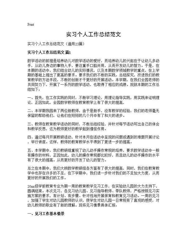 实习个人工作总结范文23篇