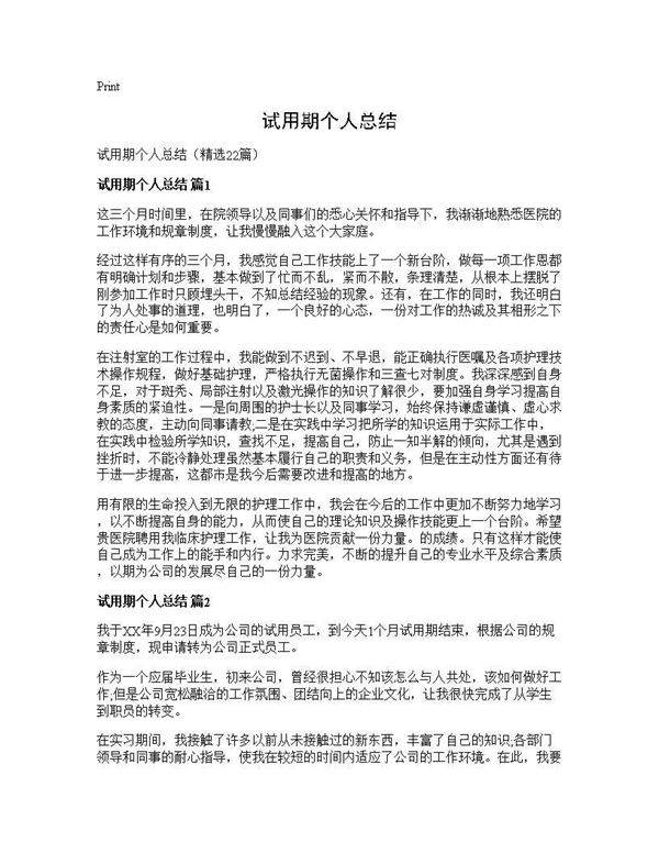 试用期个人总结22篇