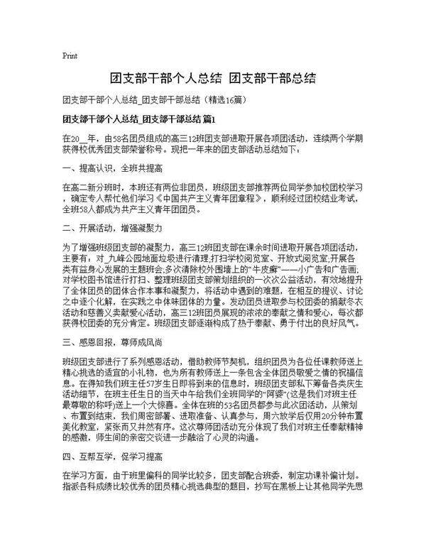 团支部干部个人总结 团支部干部总结16篇