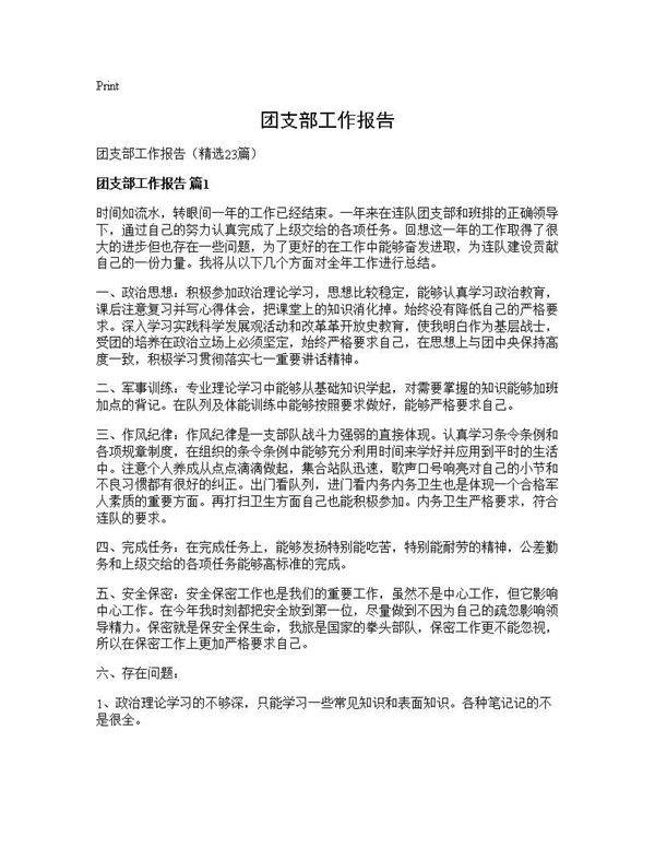 团支部工作报告23篇