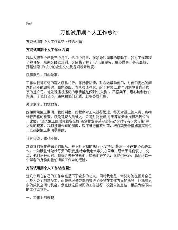 万能试用期个人工作总结28篇