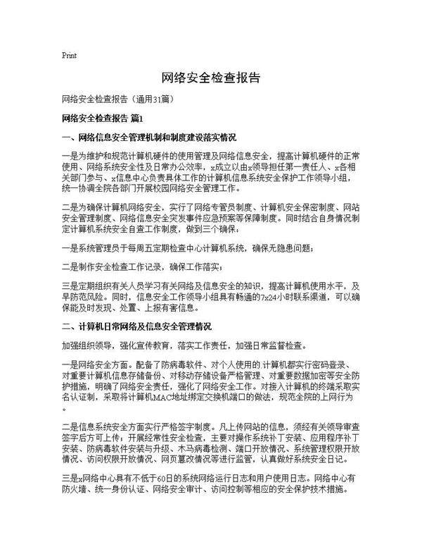 网络安全检查报告31篇