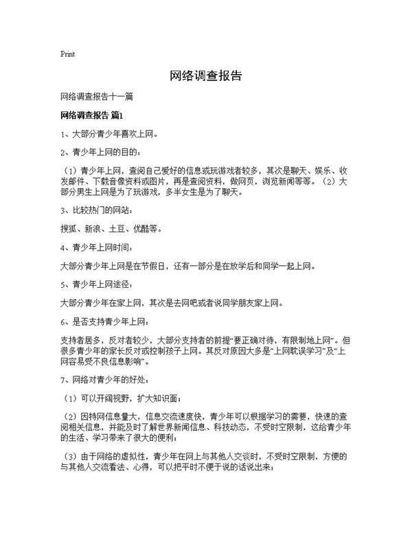 网络调查报告