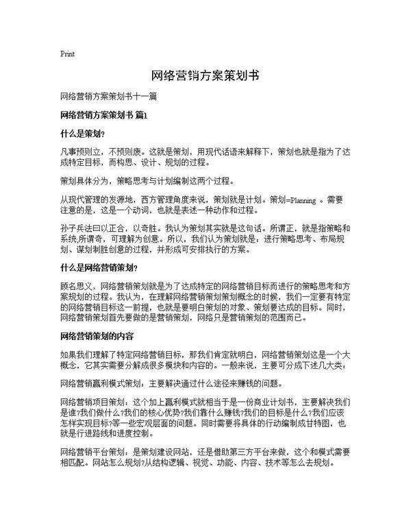 网络营销方案策划书