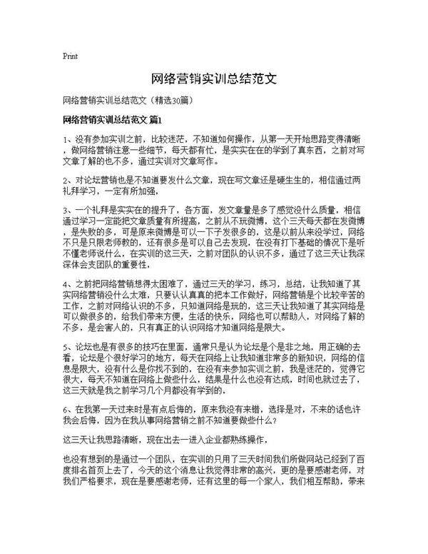 网络营销实训总结范文30篇