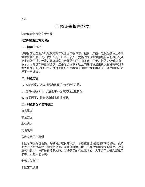 问题调查报告范文