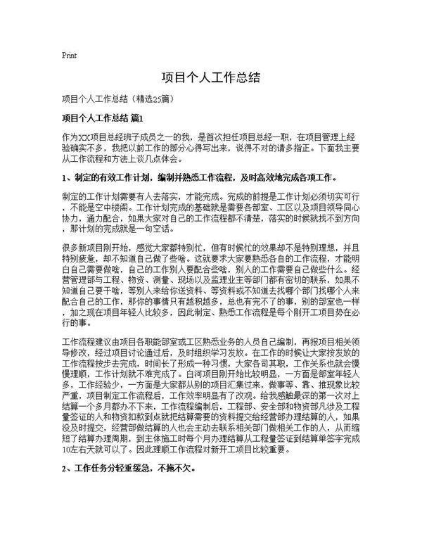 项目个人工作总结25篇