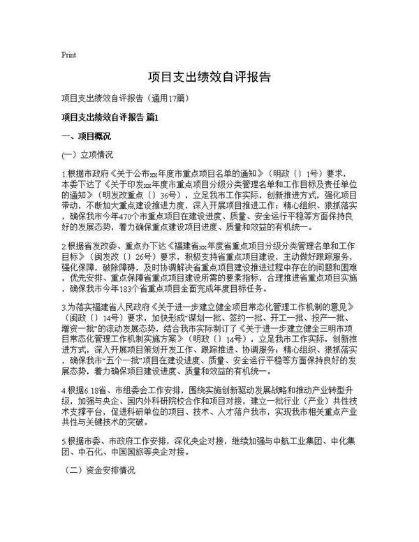 项目支出绩效自评报告17篇