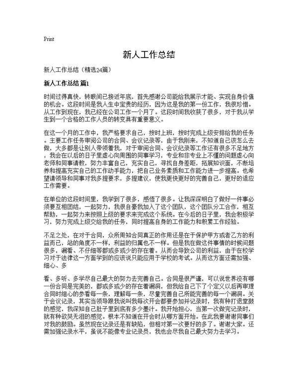 新人工作总结24篇