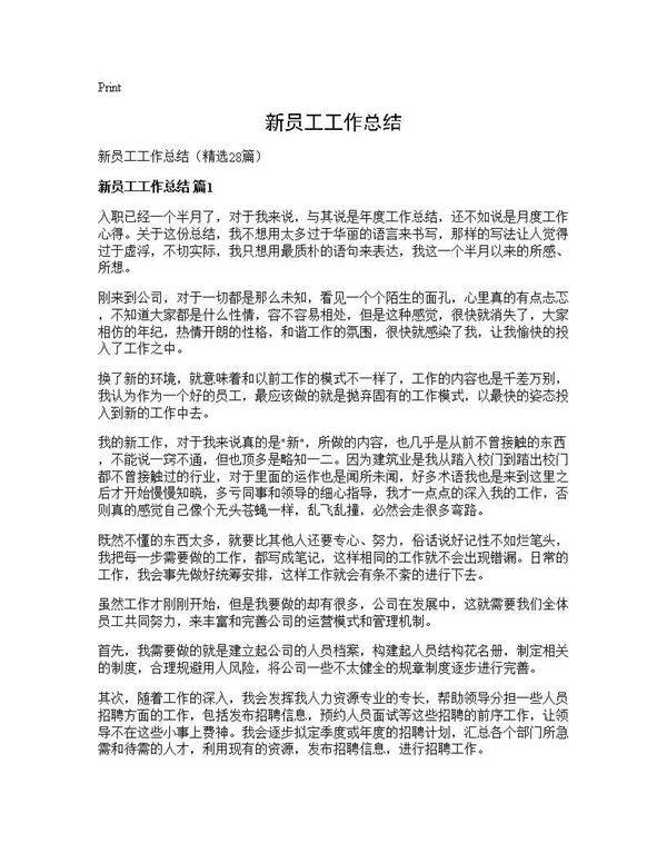 新员工工作总结28篇