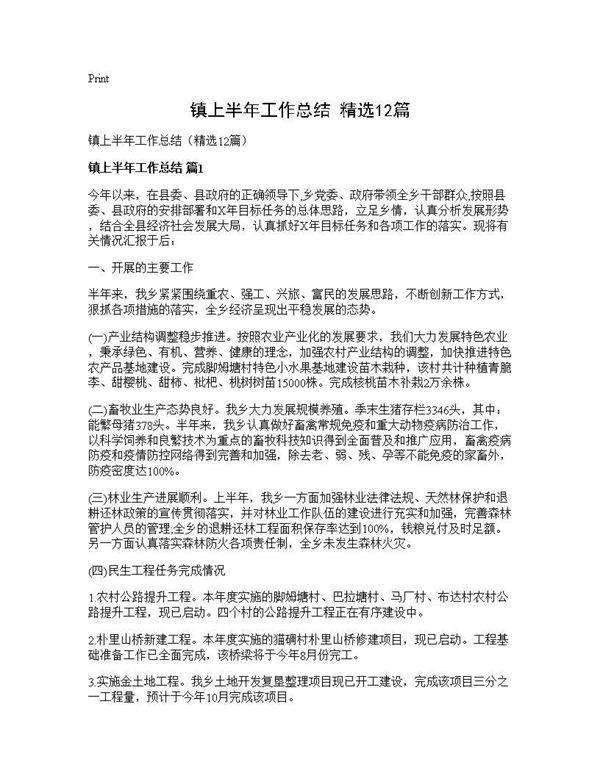 镇上半年工作总结(精选12篇)