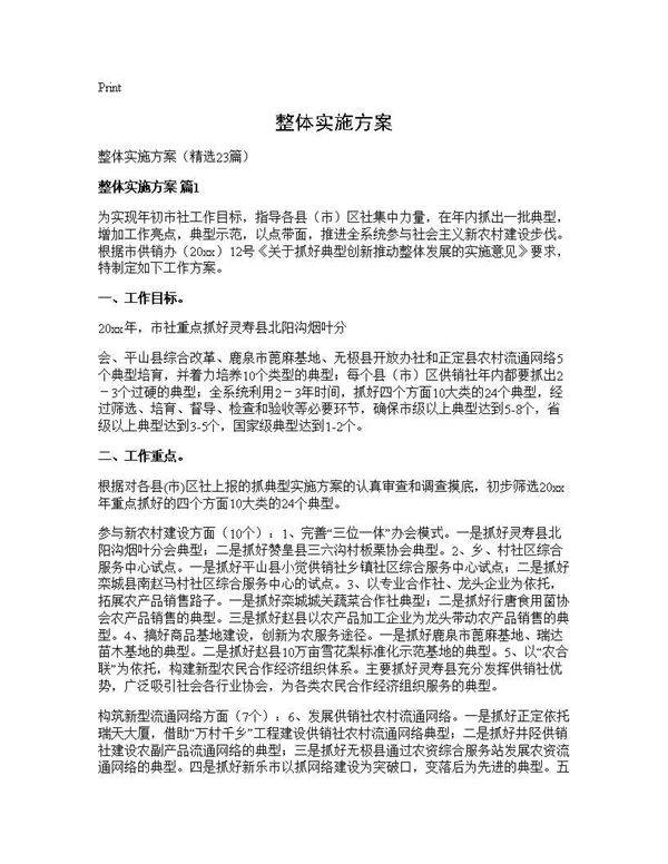 整体实施方案23篇