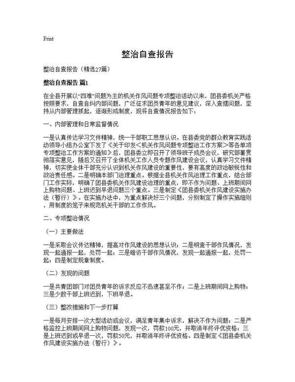 整治自查报告27篇
