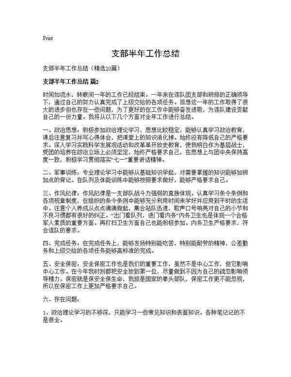 支部半年工作总结20篇