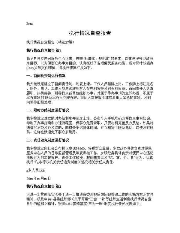 执行情况自查报告27篇