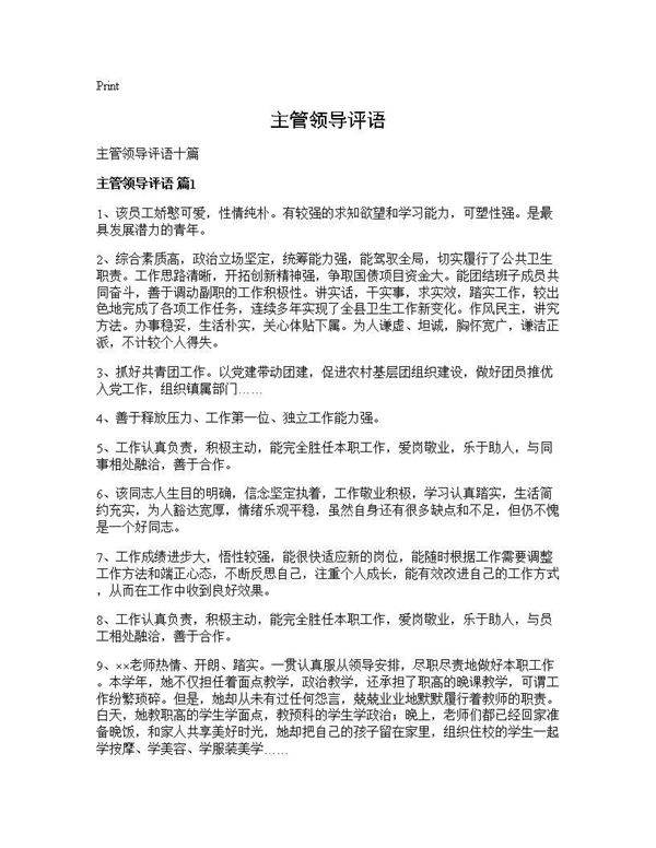 主管领导评语