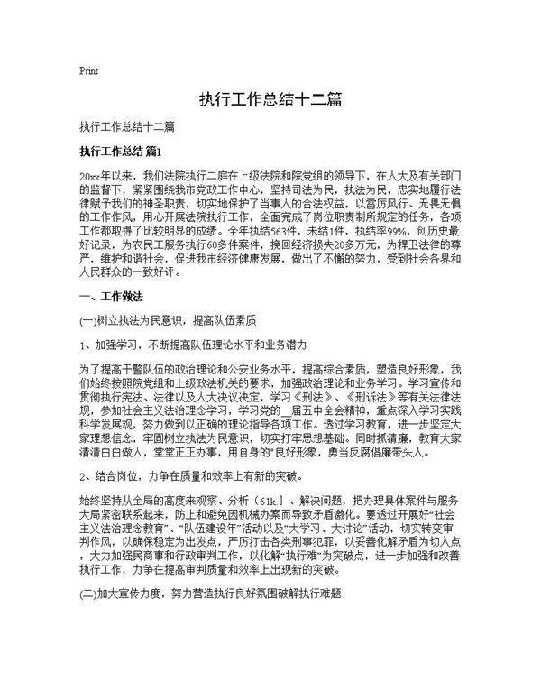 执行工作总结十二篇