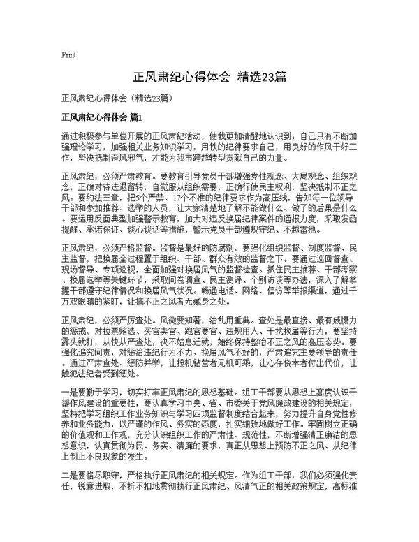正风肃纪心得体会(精选23篇)