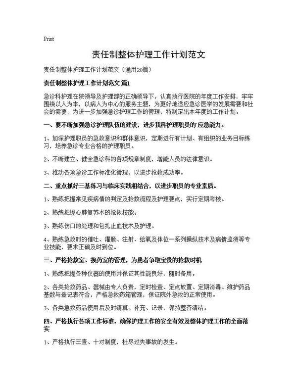 责任制整体护理工作计划范文20篇