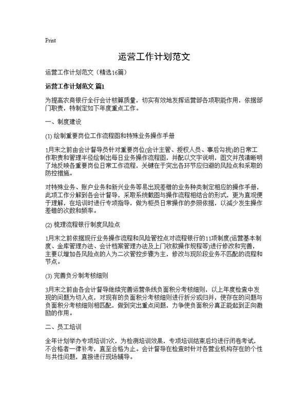 运营工作计划范文16篇