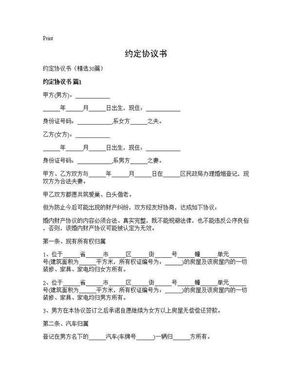 约定协议书30篇