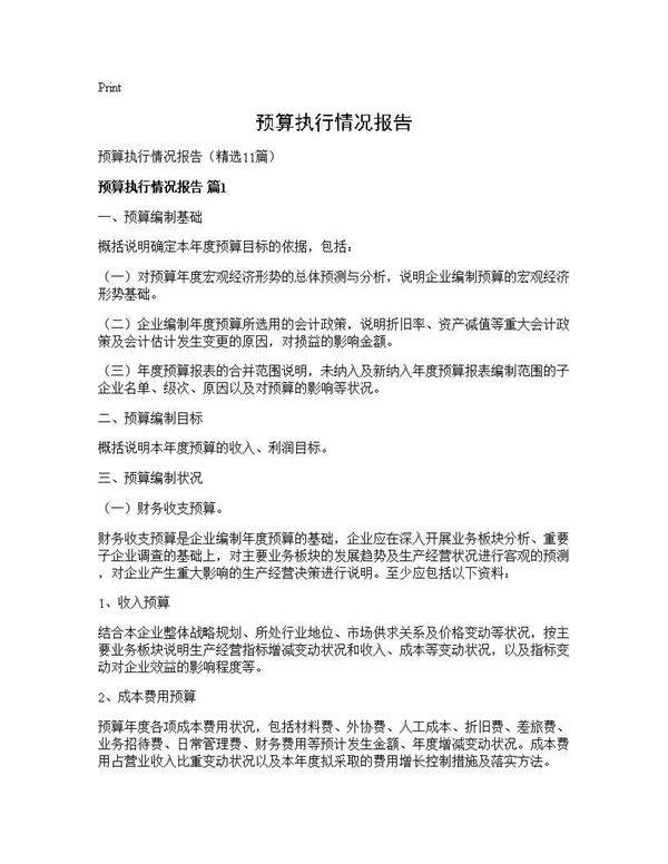 预算执行情况报告11篇